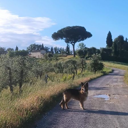Appartamento Casale La Giara Sorrezzana Esterno foto