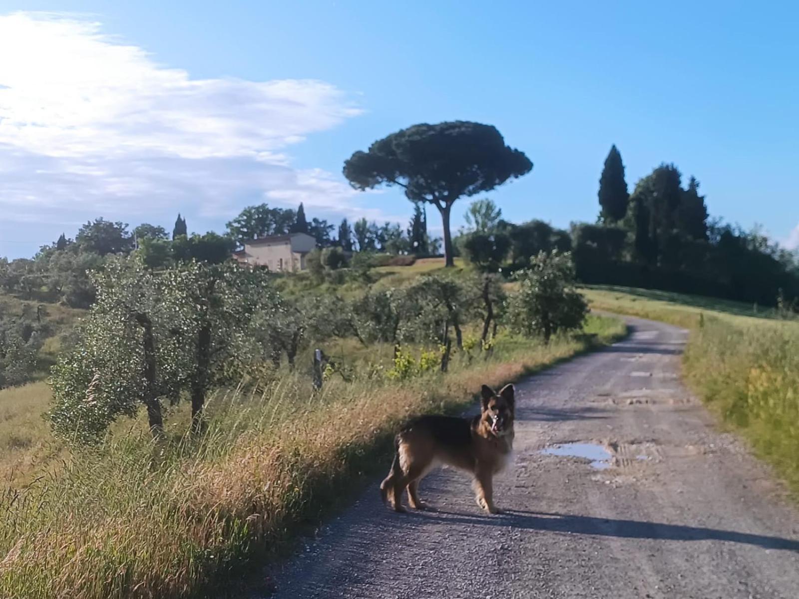 Appartamento Casale La Giara Sorrezzana Esterno foto